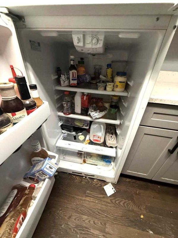 Fridge before